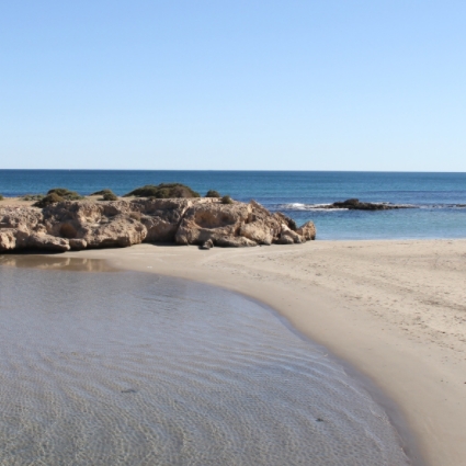 La Zenia